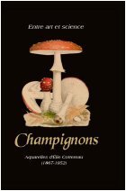 Entre art et science, champignons, aquarelles d´Élie Cottereau